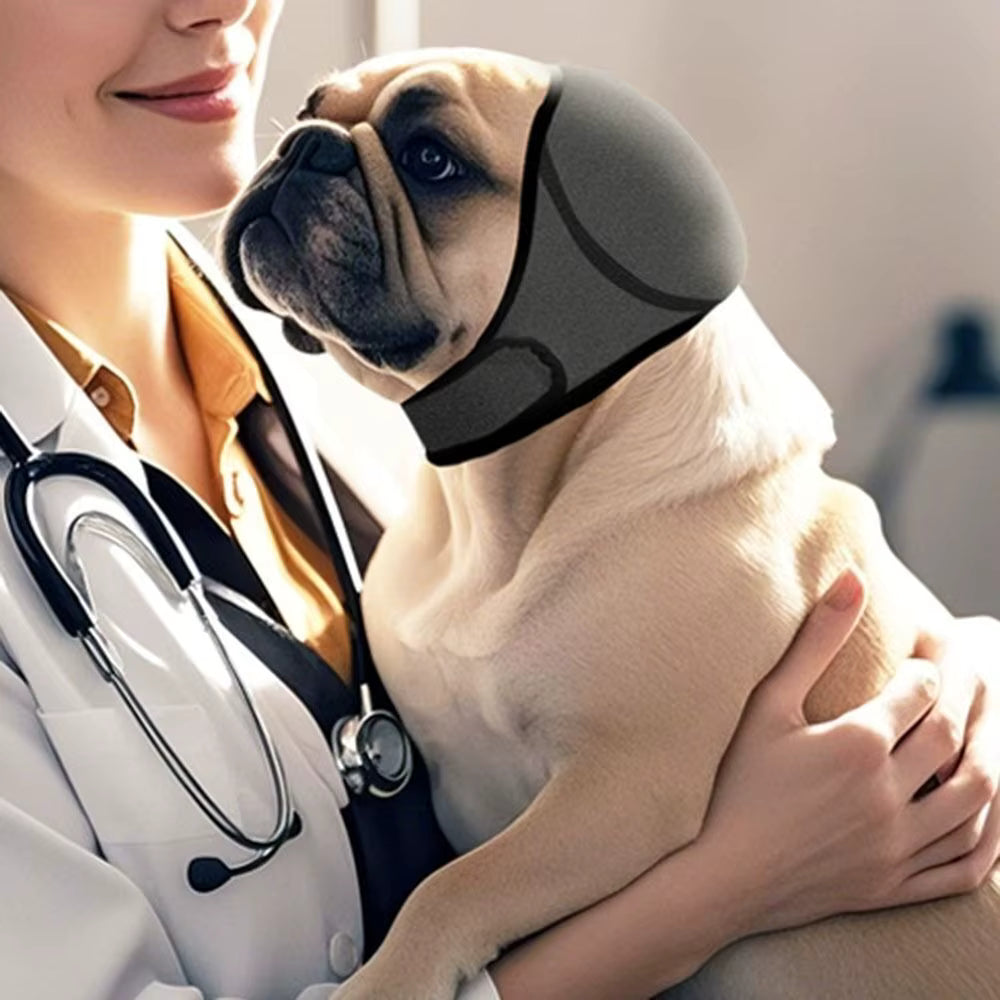 Sudadera con Capucha Canceladora de Ruido para Perros