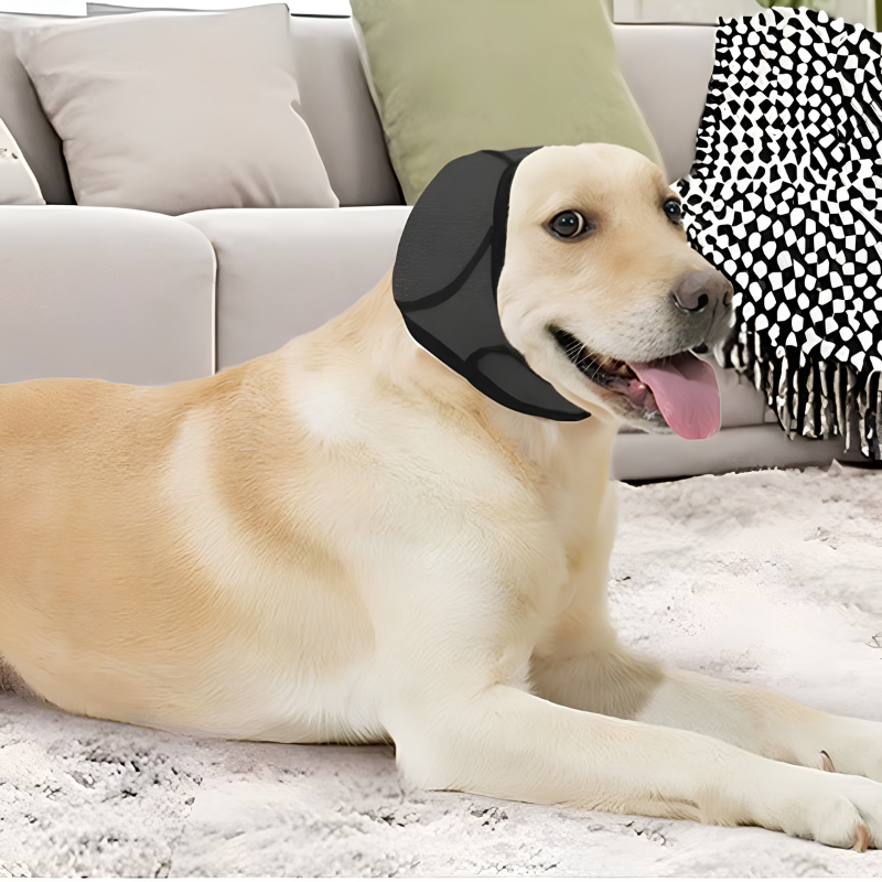 Sudadera con Capucha Canceladora de Ruido para Perros