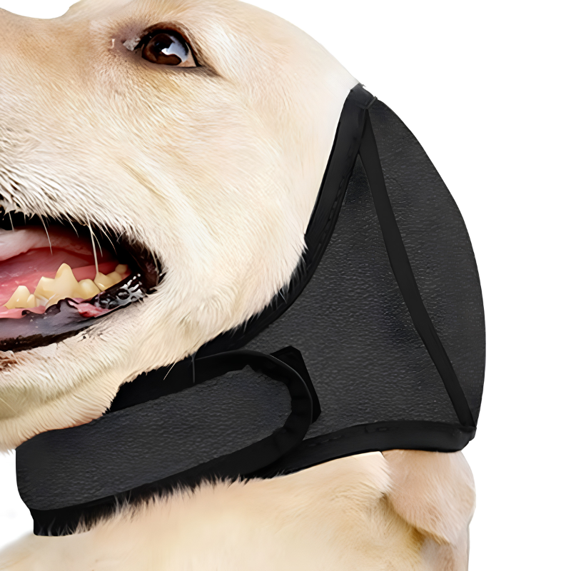 Sudadera con Capucha Canceladora de Ruido para Perros